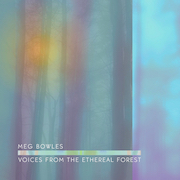 Voices from the Ethereal Forest